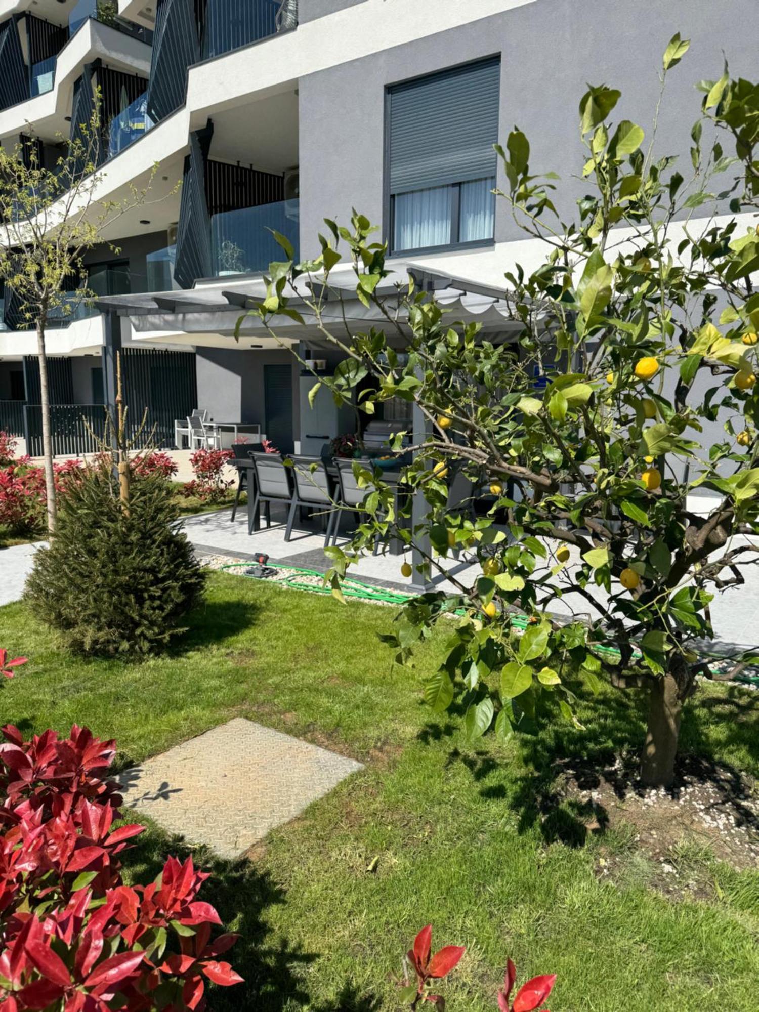 Capsula Luxury Apartment אומאג מראה חיצוני תמונה